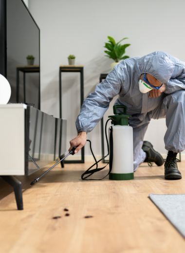 Termite Treatment